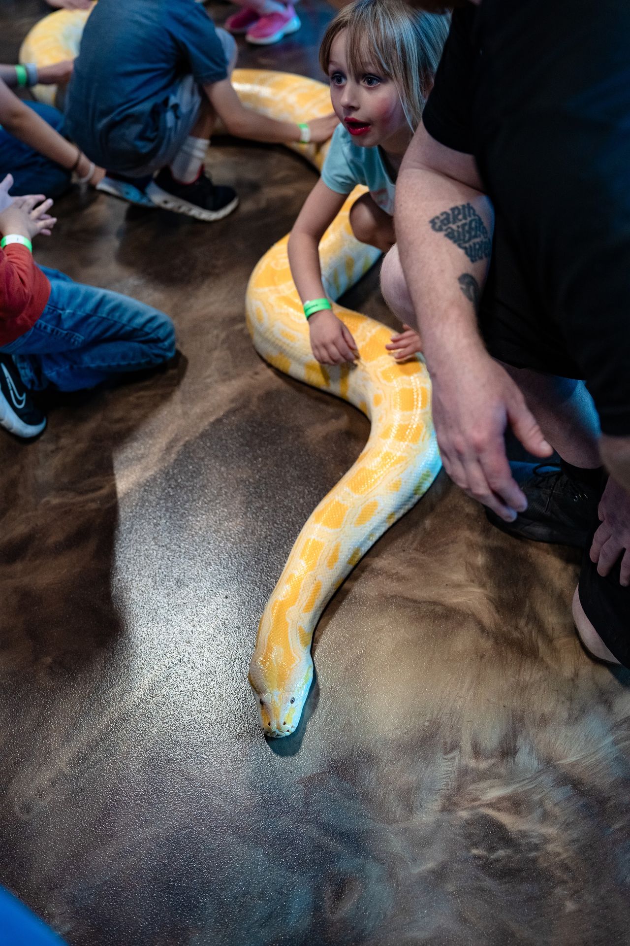 Kids meeting a python at The Reptarium